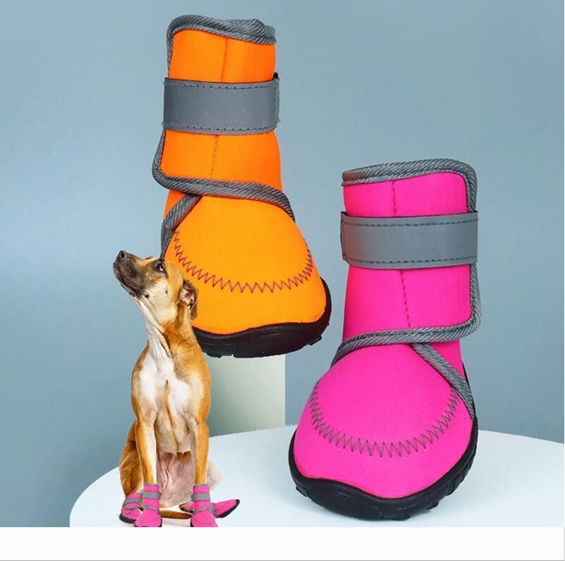dog shoes medium