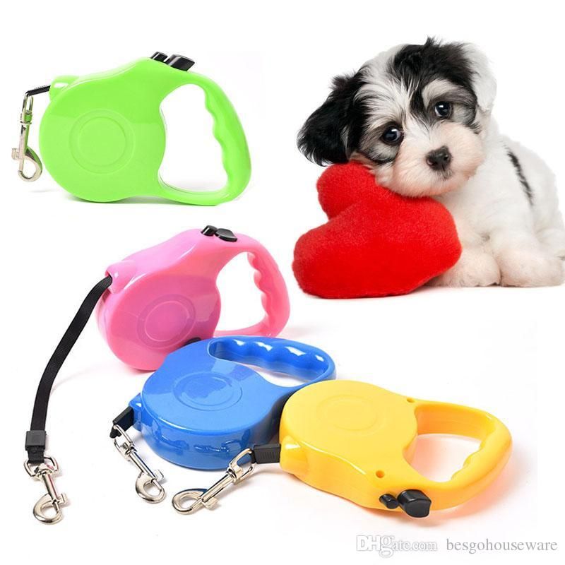 retractable cat lead