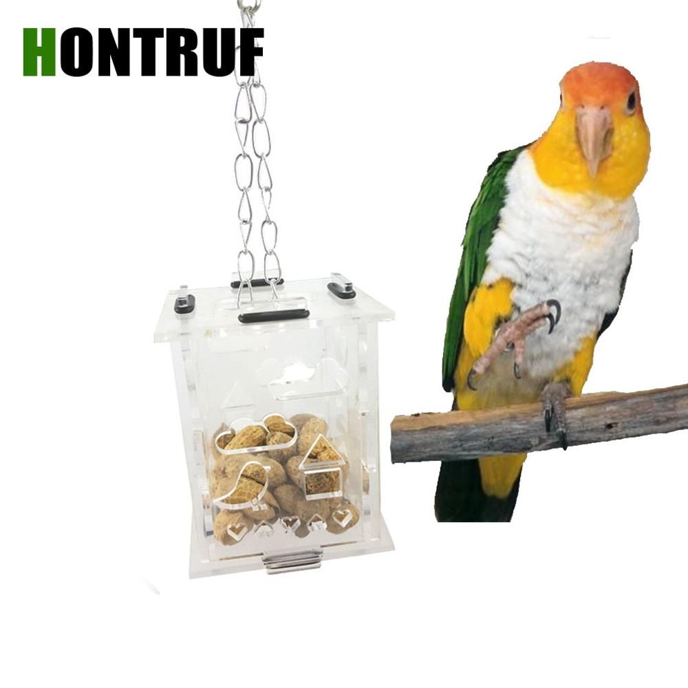 Foraging Toys Parrots Wow Blog