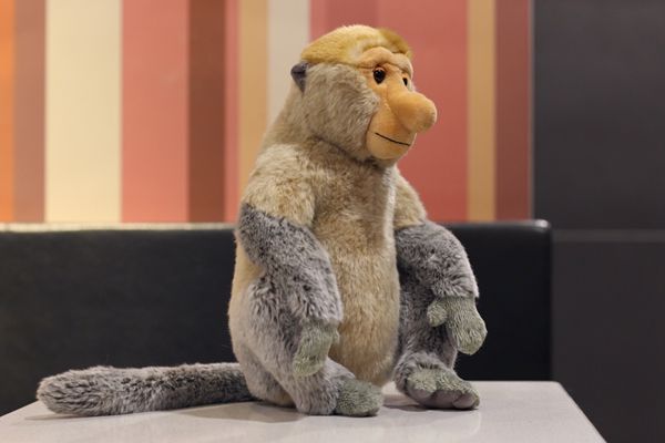 stuffed proboscis monkey