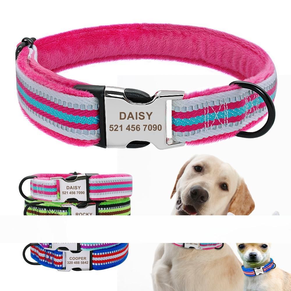 personalized dog collars