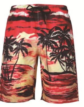 Beach pants 13