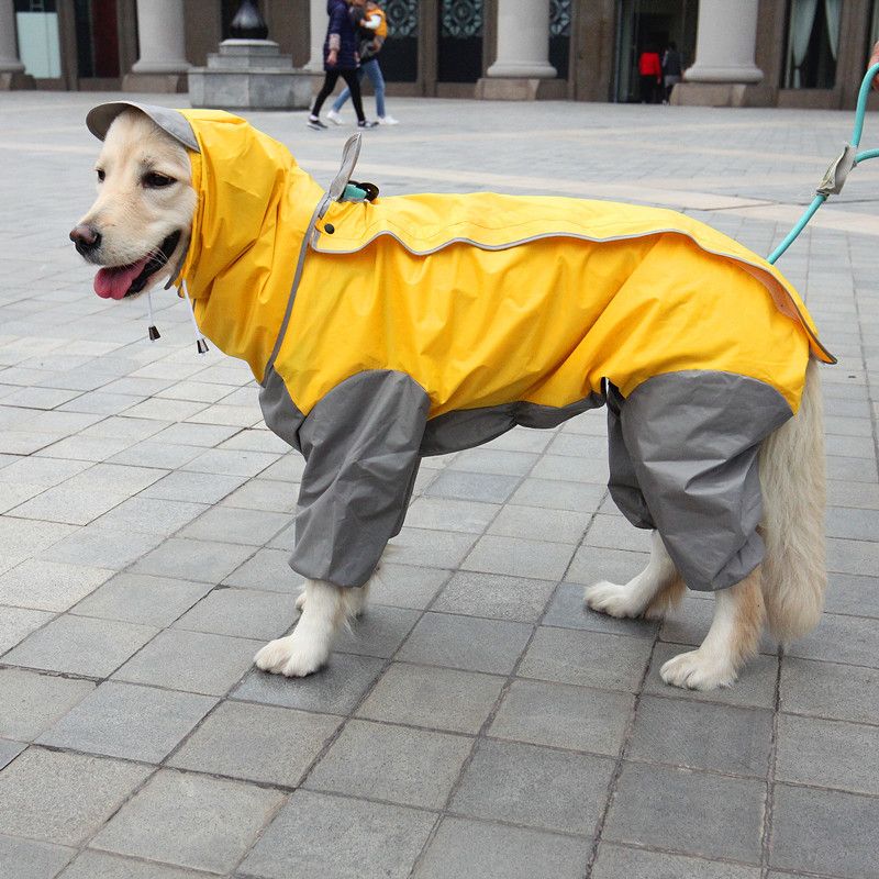 doggie rain coats