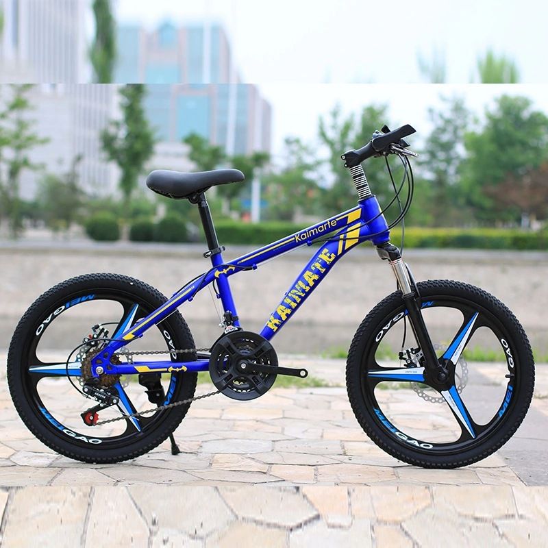 our generation 20 inch bike