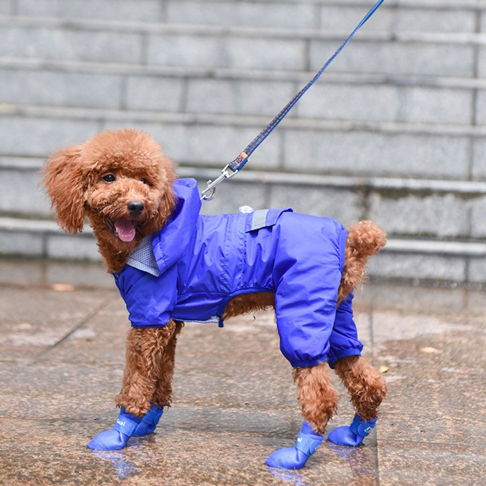 Compra Zapatos Del Perro Libre Shipping7339044Factory Salida De Silicona A  Prueba De Agua Botas De Lluvia Para Mascotas Alimentos Para Mascotas Zapatos  Antideslizantes Zapatos De Moda Lindos Del Perro Del Punto Whol