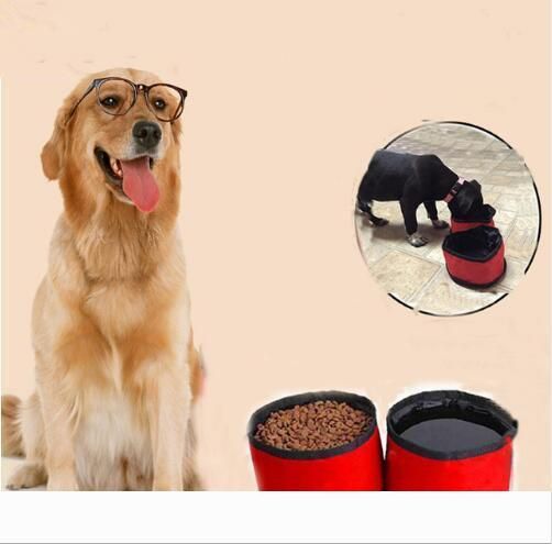 2 in 1 dog bowl