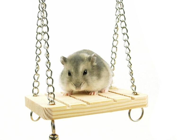 mouse cage sale