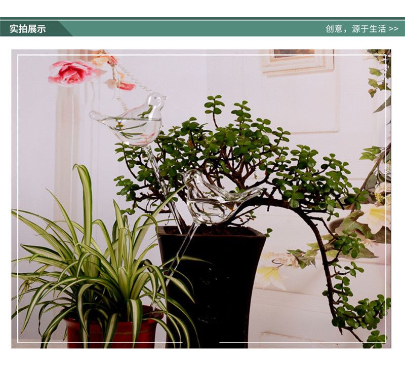 2020 Glass Plant Flower Water Feeders Self Watering Bird Design