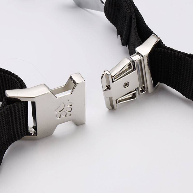 guardian training collar
