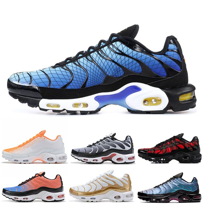 tn plus trainers