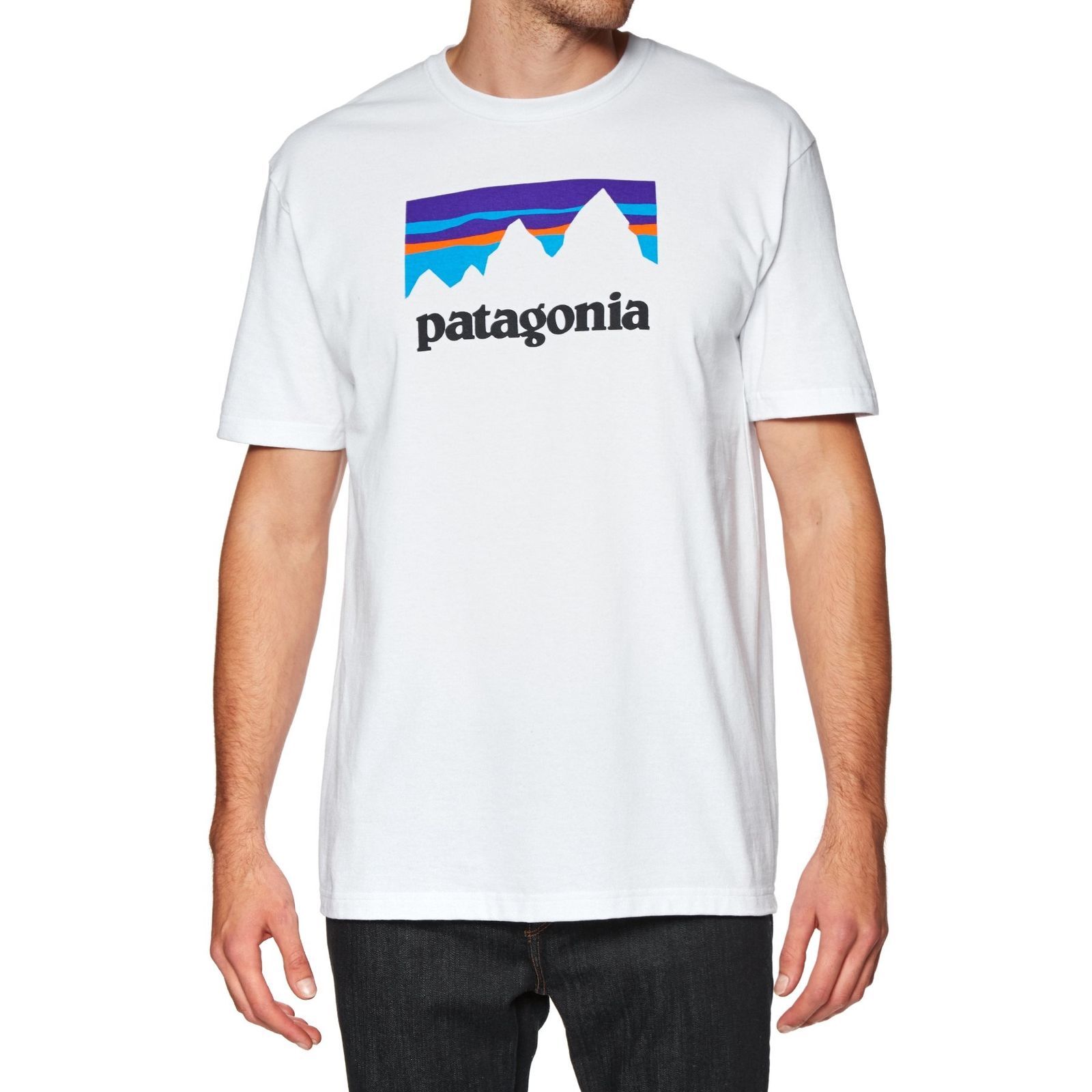 patagonia t shirt on sale