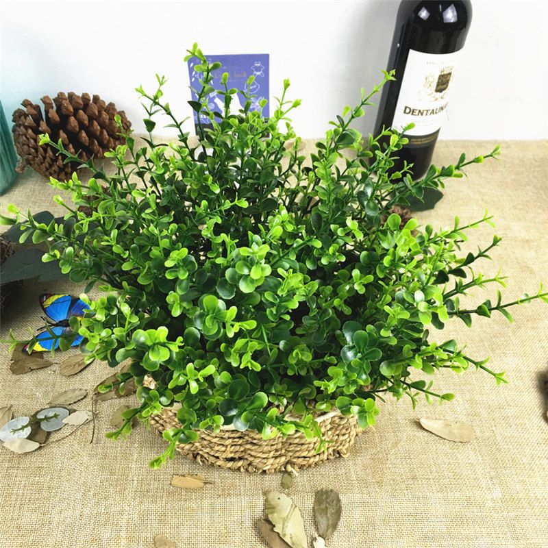 Whole Small Plastic Eucalyptus Bundle Flower Arrangement Fake Plants Artificial Flowers Home Garden Decoration By Hysean Under 1 02 Dhgate Israel - Plastic Bottle Artificial Plants For Home Decoration Whole Small Plastic Eucalyptus Bundle Flower Arrangement Fake Plants Artificial Flowers Home Garden Decoration By Hysean Under 1 02 Dhgate Israel - Plastic Bottle Artificial Plants For Home Decoration