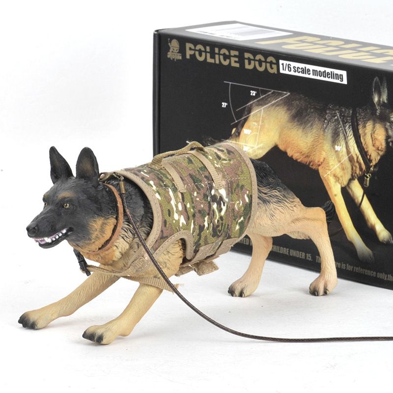 german shepherd in clothes