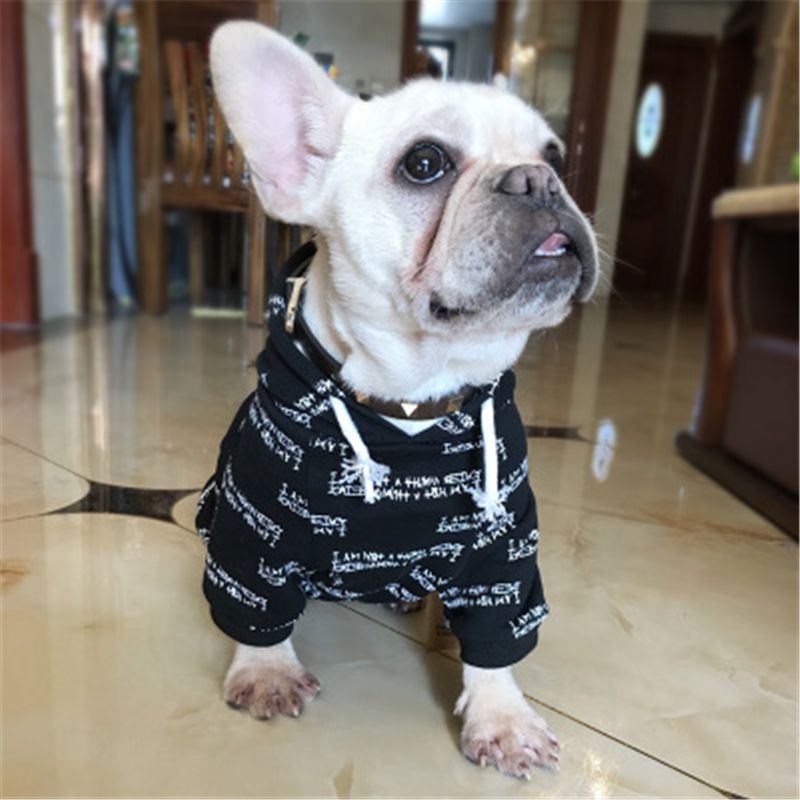 Acheter Nouveau Printemps Et Lautomne à La Mode Pet Vêtements Terry Coton Complet Imprimé Lettre Style Chien Vêtements Fardo Teddy Petit Chien Pet à