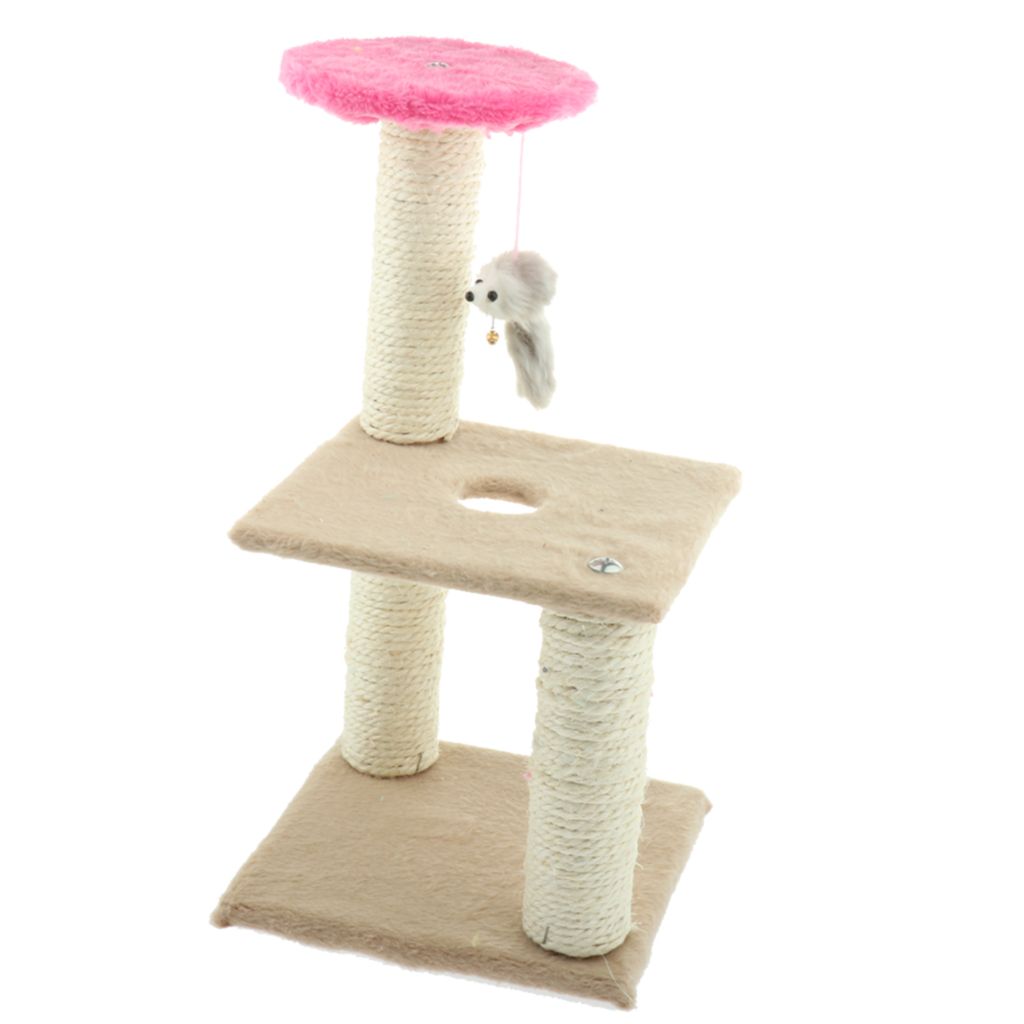 cat climbing toys