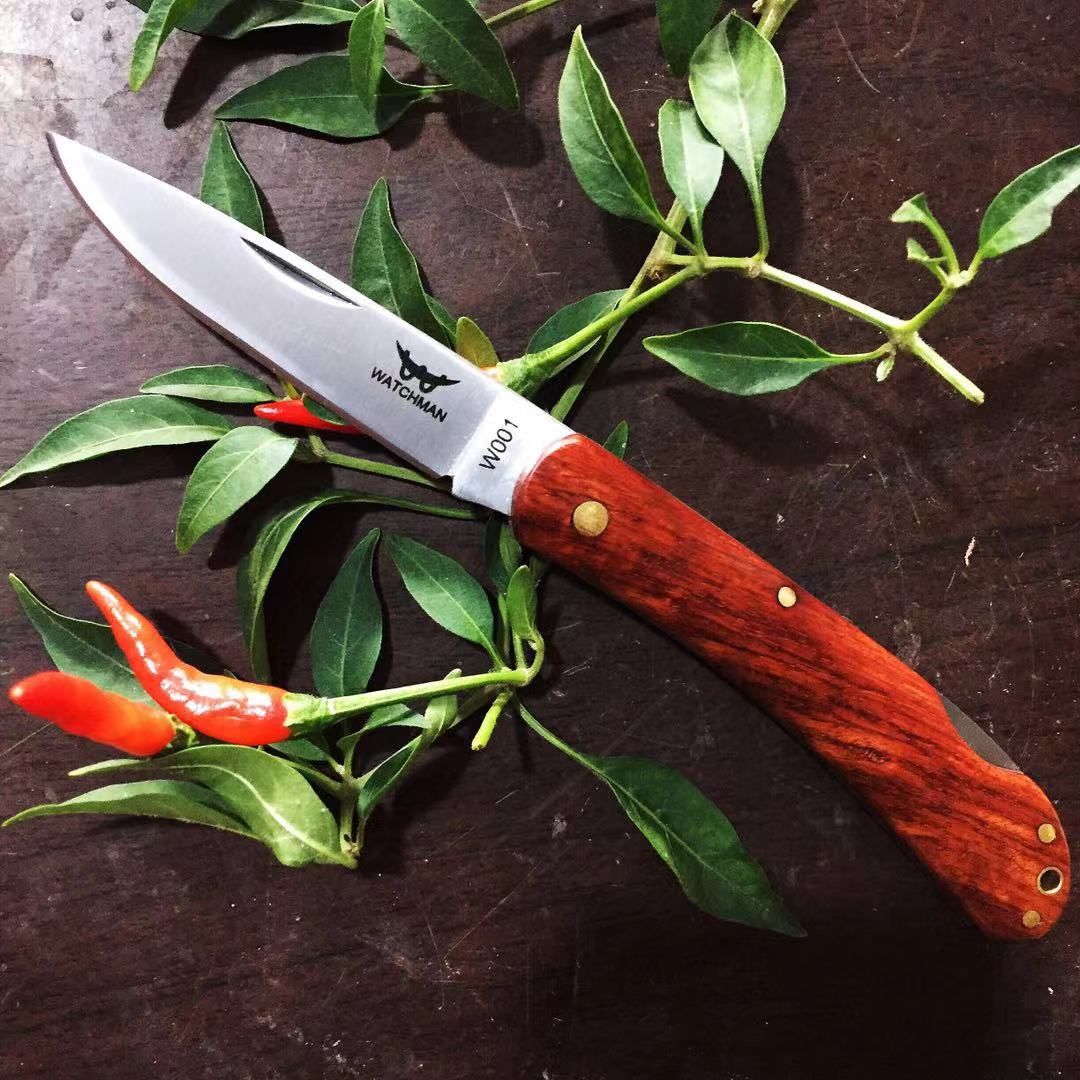Watchman W001 Floding Knife Gentleman Pocket Knives EDC Tool Collection