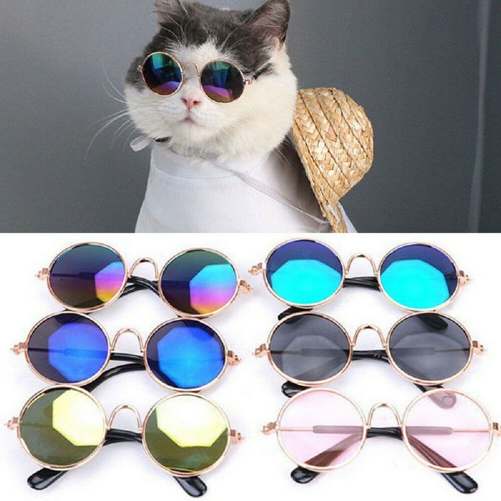 Acquistare 50 Pezzi Lotto Animali Domestici Occhiali Da Sole Gatto Piccoli  Cani Occhiali Protezione Da Sole Occhiali Da Sole Cucciolo Foto Puntelli  Occhiali Economico | Consegna Veloce E Qualità | It.Dhgate