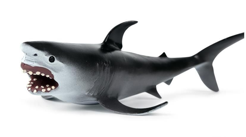 simulation shark toy