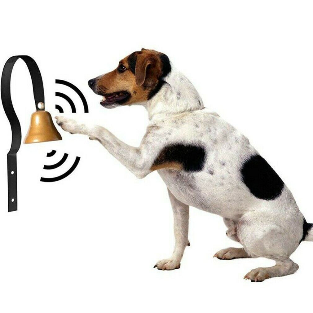 hanging door bells for dogs