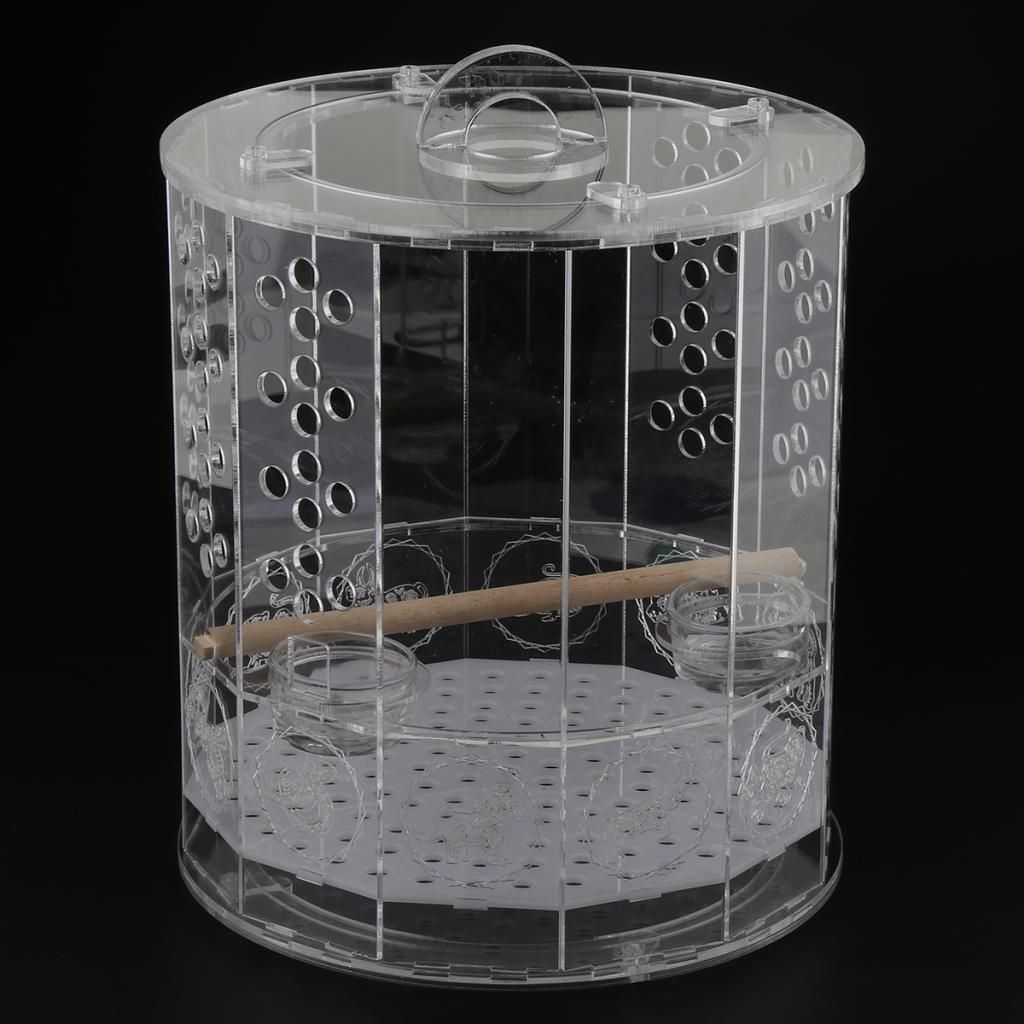 acrylic chinchilla cage