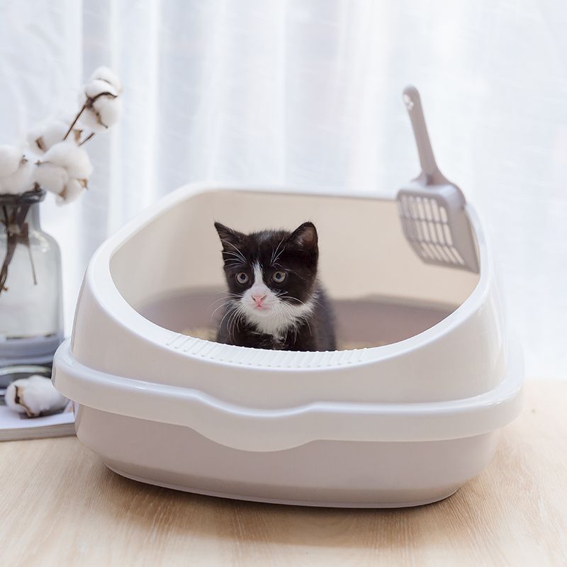 kitty potty training