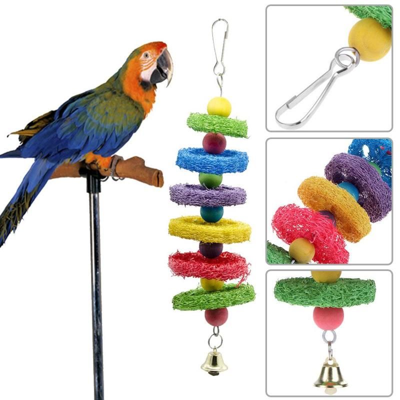 parrot swing toy