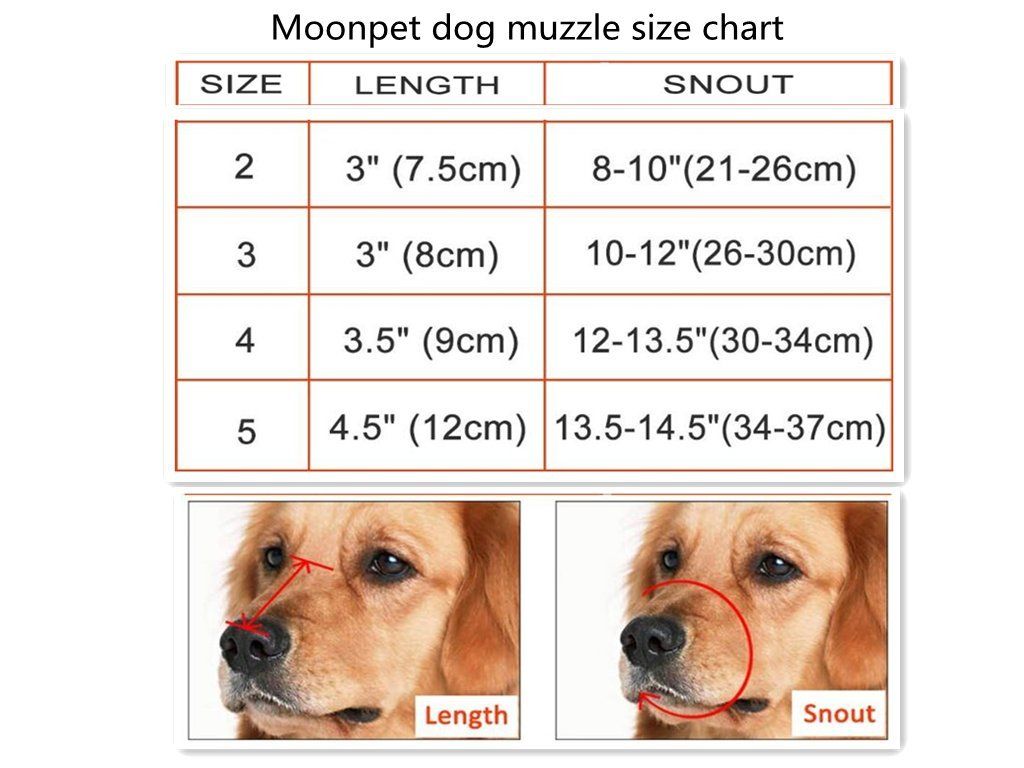 Quick Fit Dog Muzzle Size Chart