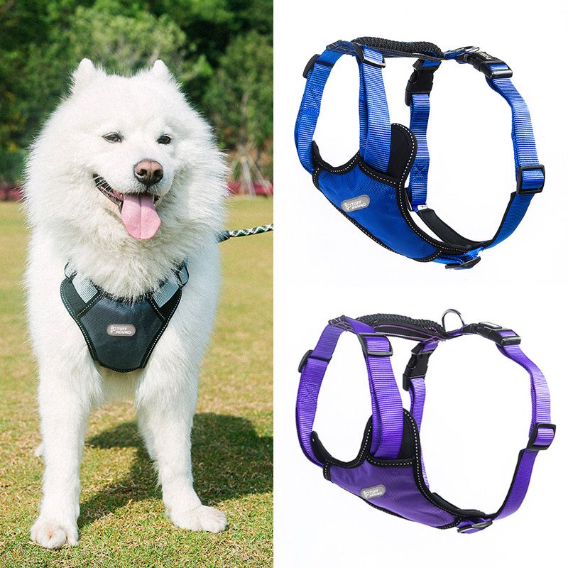 dog harness with handle for small dogs