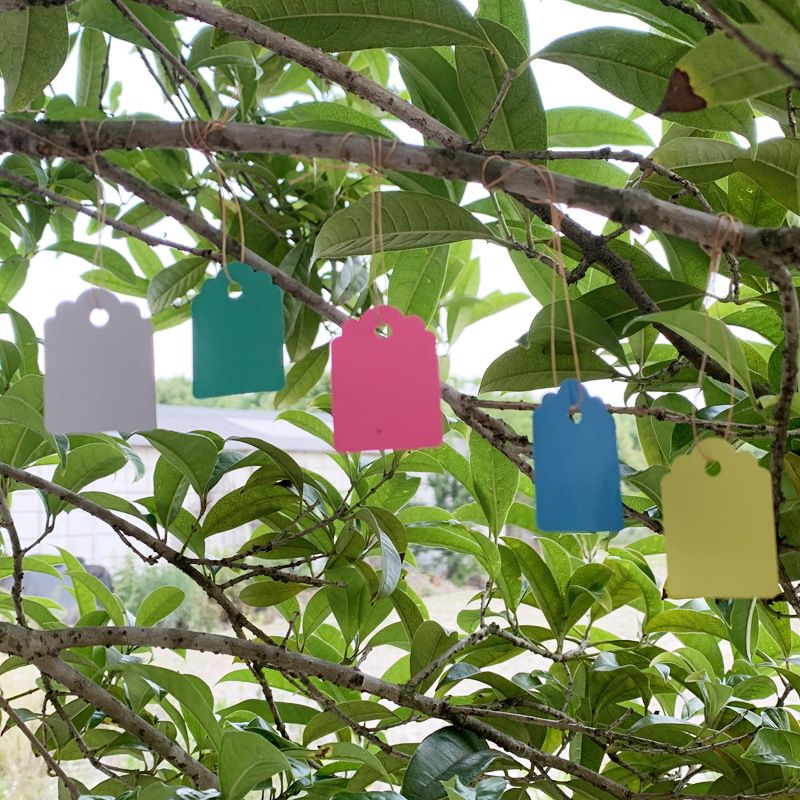 Tags for fruit trees