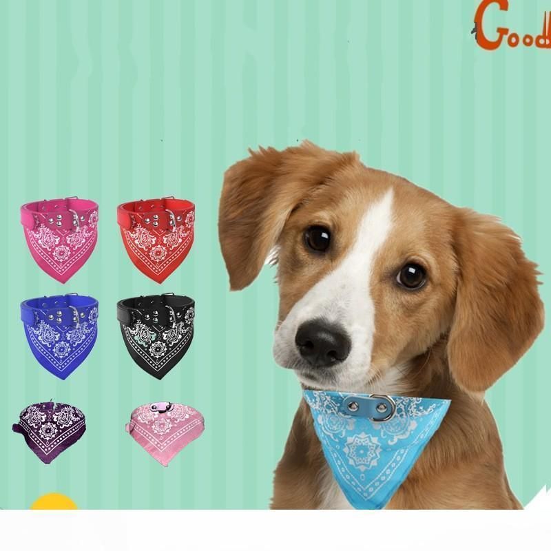 bandana on dog's neck