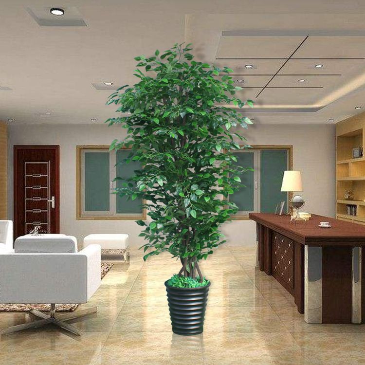 artificial indoor plants