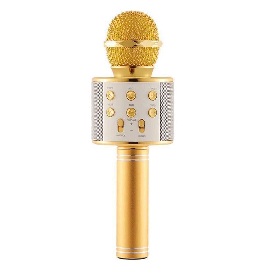 microphone speaker portable