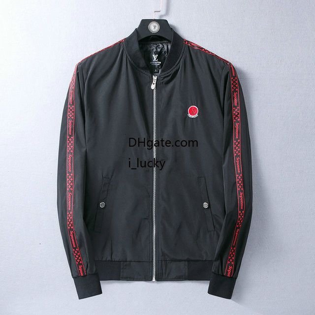 Diseñador de los hombres de la hermoso del gato con guantes de boxeo de regreso