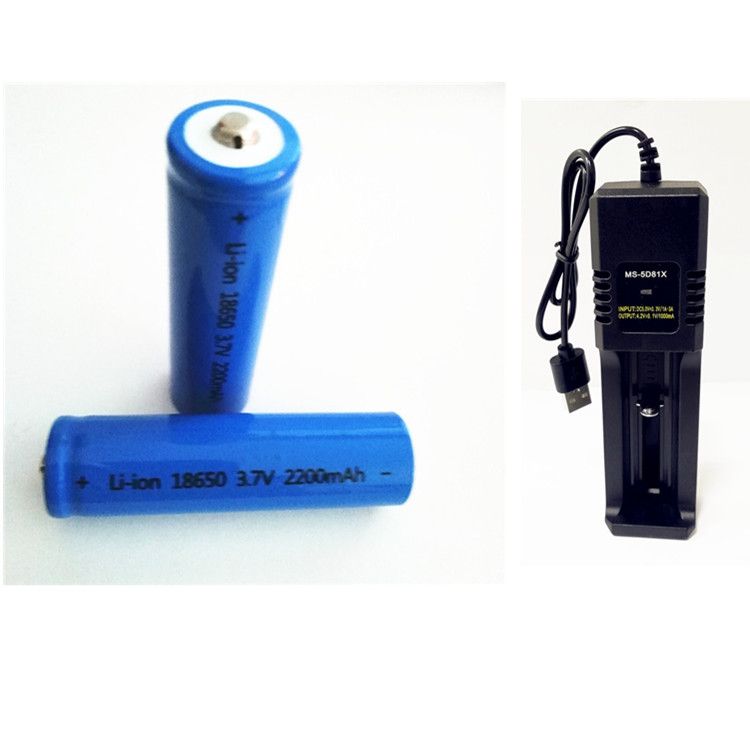 Li Ion 18650 2200mah 3 7v Pointed Flat Head Lithium Battery Usb Charger The Charger For 26650 18650 14500 16340 Chahge Usb Charger Uk Usb Device Charger From Pilot163 5 32 Dhgate Com