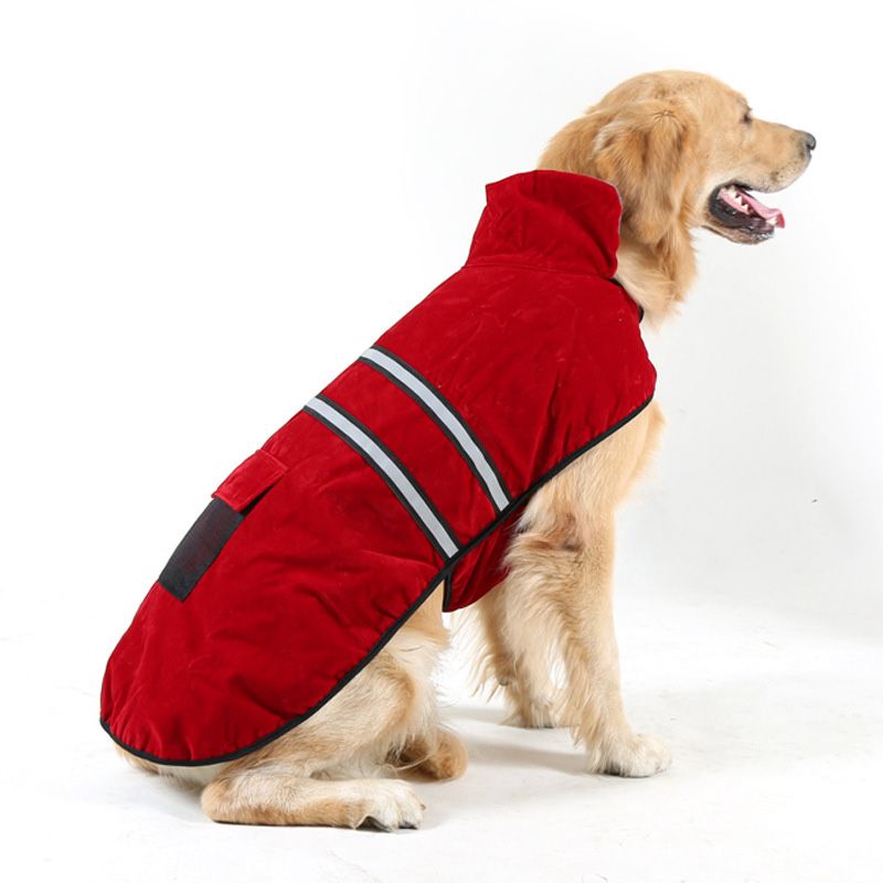 Nueva ropa para mascotas modelos de otoño e Cabello dorado Labrador perro grande