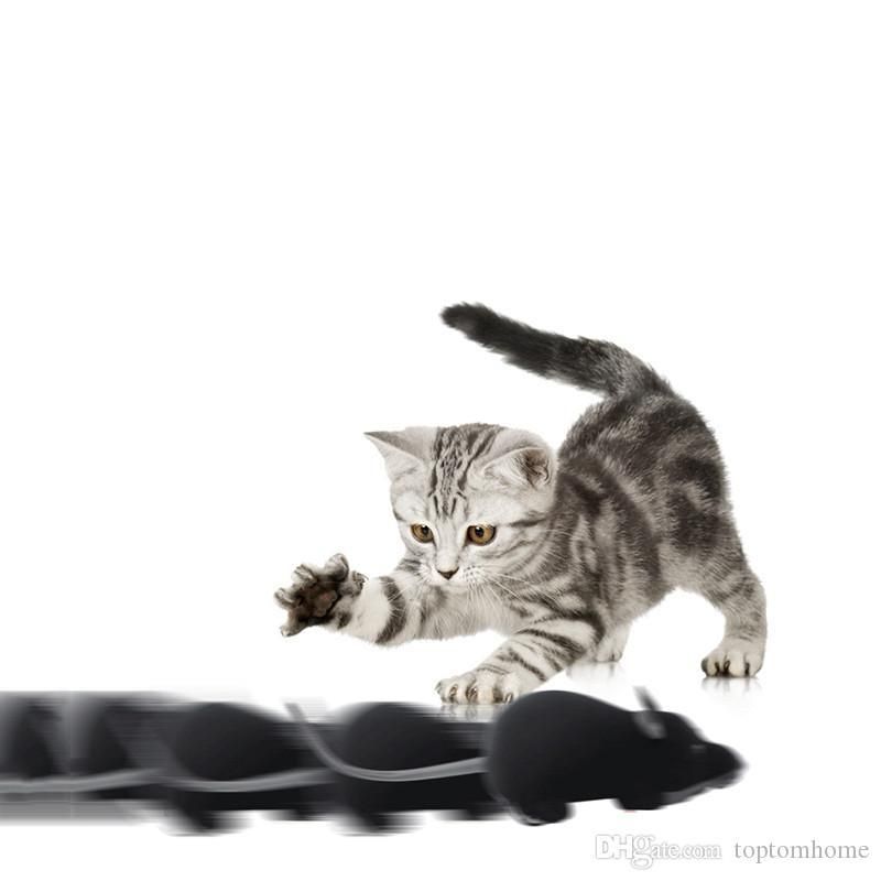 rc mouse for cats
