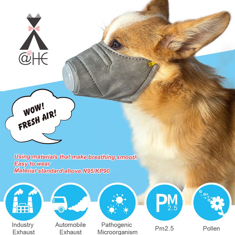 2021 Dog Soft Face Cotton Mouth Pet Mask Pet Respiratory PM2.5 Filter