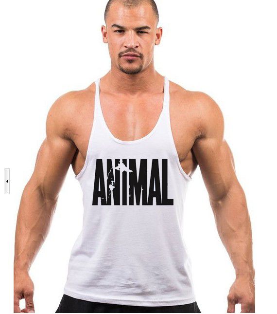 maglie bodybuilding
