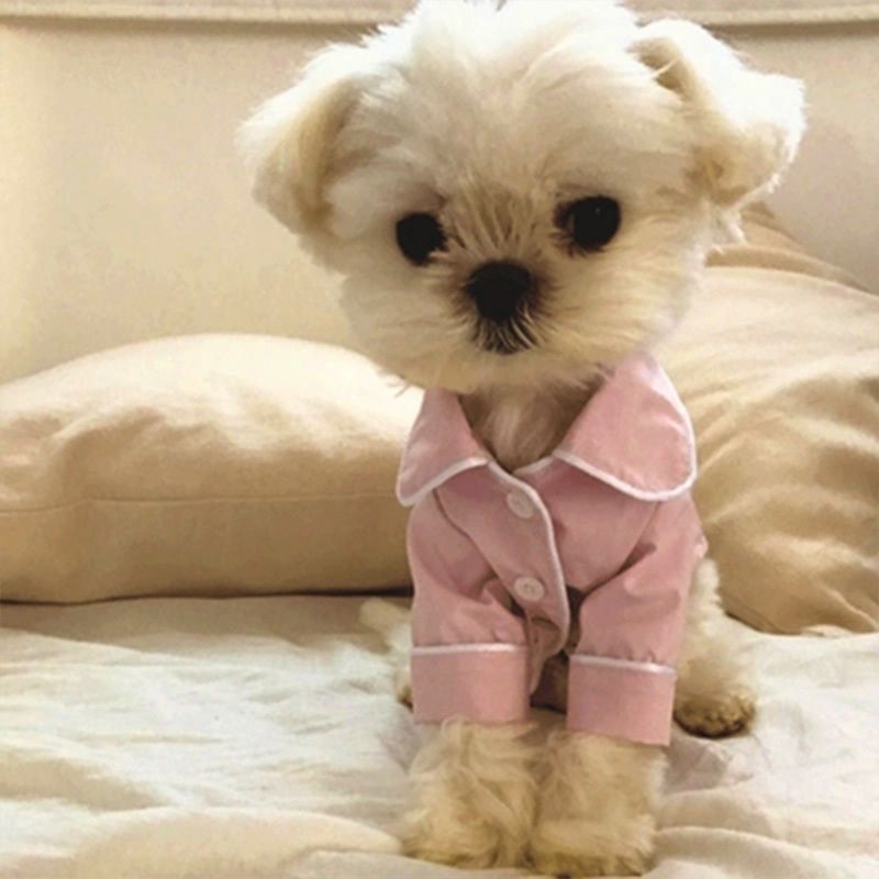 Pijamas para perros Invierno Perros Moda Ropa francesa para perros Chihuahua Ropa para perros pequeños
