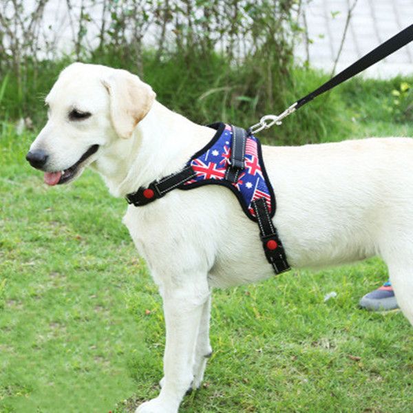 Buyuk Tasarruf Icin Ucuz Pet Kopek Yelek Harness Tasmalar Yaka Seti Hayir Cekme Ayarlanabilir Labrador Husky Kopek Tasma Kucuk Orta Buyuk Xl Kamuflaj Toptan Indirimli Bir Fiyata Den Satin Alin Buyuk Tasarruf Icin Ucuz Pet Kopek Yelek Harness Tasmalar Yaka Seti Hayir Cekme Ayarlanabilir Labrador Husky Kopek Tasma Kucuk Orta Buyuk Xl Kamuflaj Toptan Indirimli Bir Fiyata Den Satin Alin