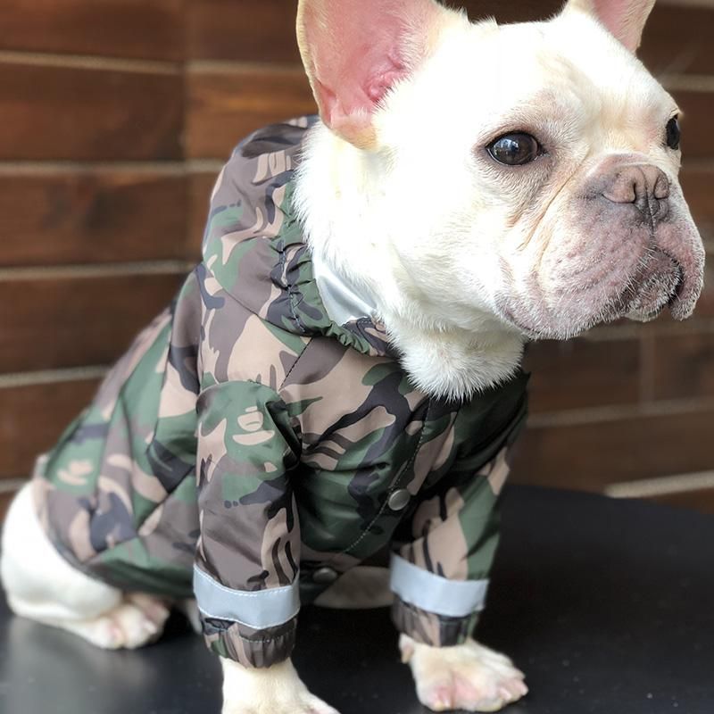 puppy apparel