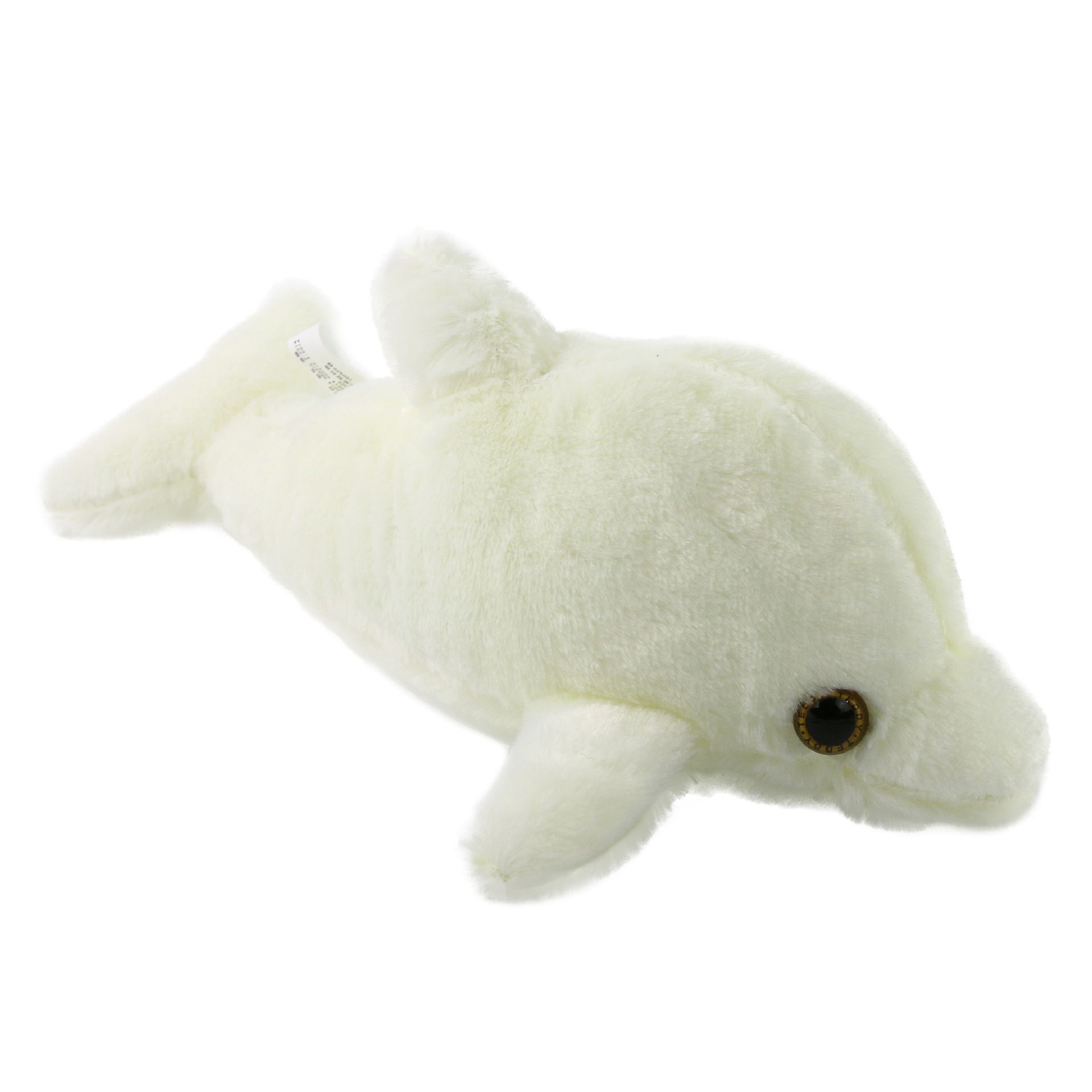 baby doll dolphin