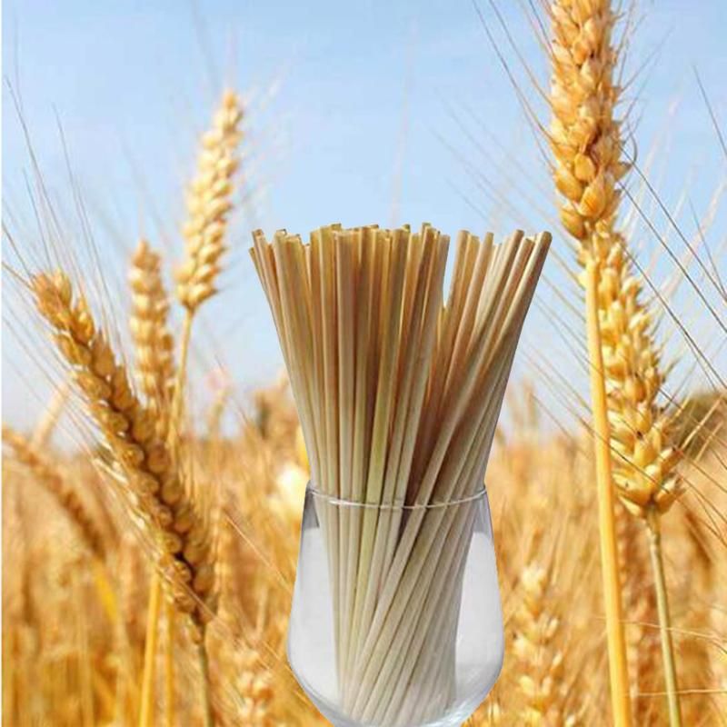 Wedding Home Plastic Decor Bar Extra Long Fruit Party Straw Drinking 100 Pcs