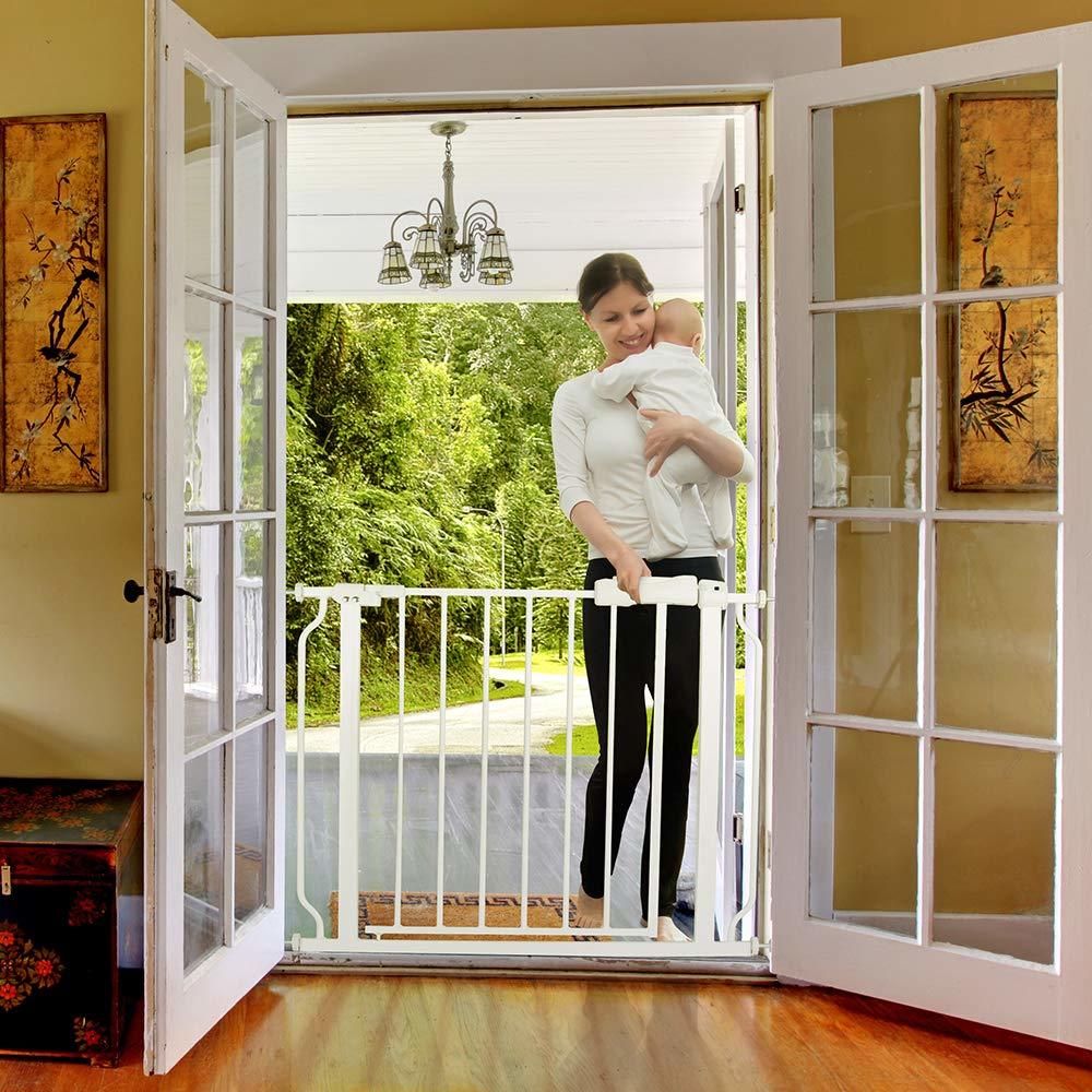 doorway gate with door