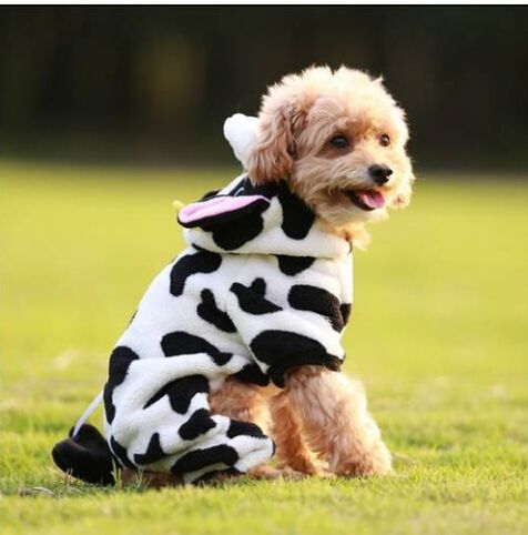 Acheter Pas Cher Les Ventes Chaudes En Gros Livraison Gratuite Pet Chien Vache Style Tissu Costume Lait Vache Pour Chien Manteau Dhiver Chaud Du 15 Fr Dhgate