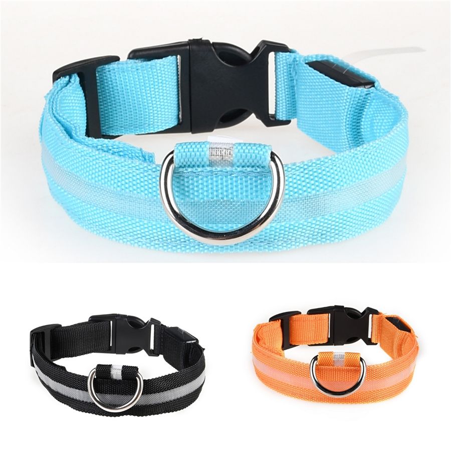 clearance dog collars