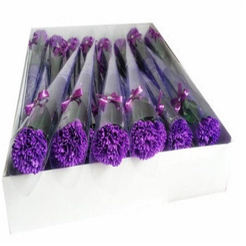 purple carnation