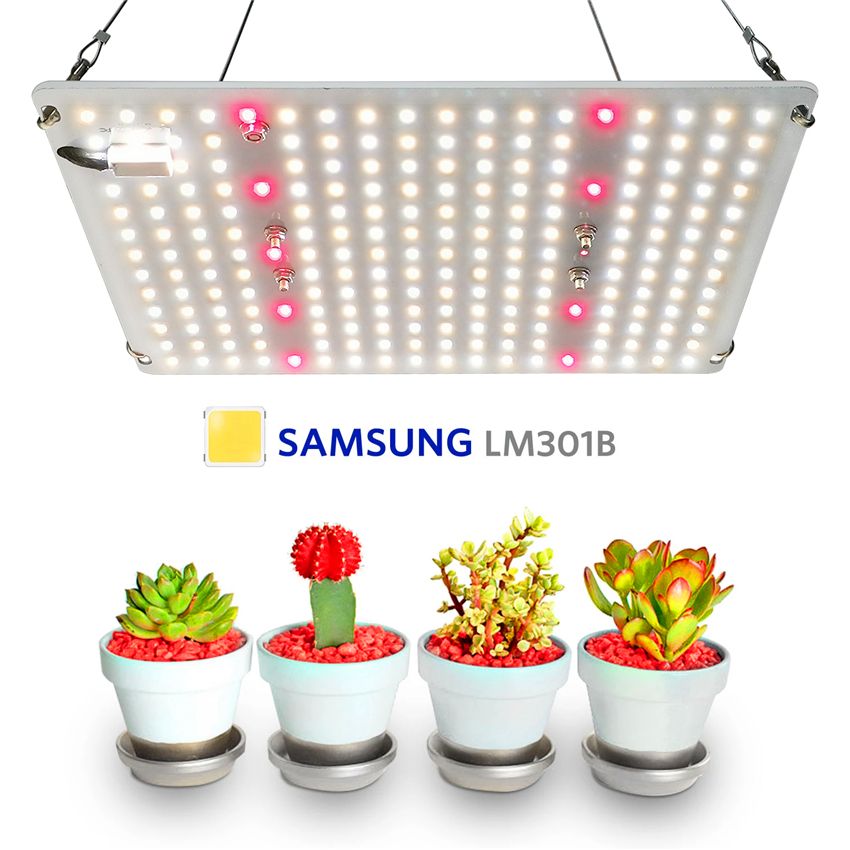 Wholesale grow lights Clearance