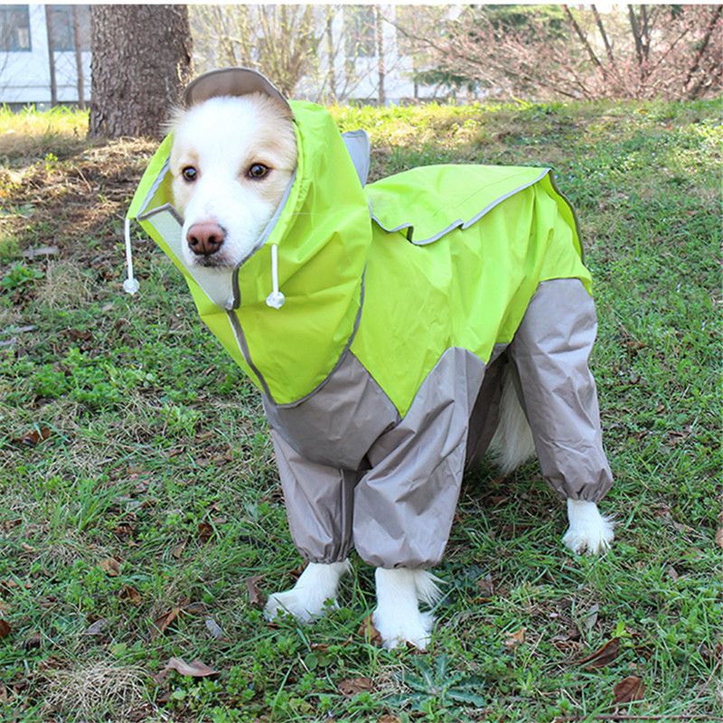 dog rain jacket