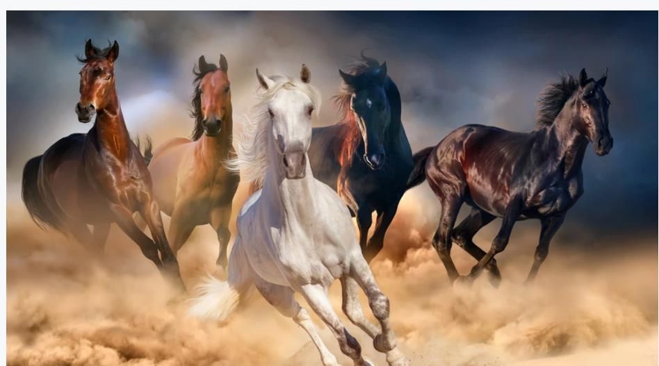 horse to success HD background wall decoration painting beautiful scenery wallpapers horse to success HD background wall decoration painting beautiful scenery wallpapers